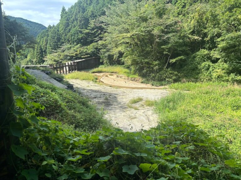 【南河内郡千早赤阪村】バスの本数が増える金剛山ルート！千早本道と反対側をプチ散歩して季節の花を愛でる