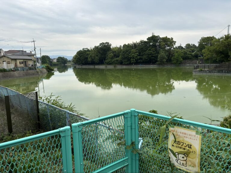 【大阪狭山市】ニョロっと細長すぎる！狭山駅南、池尻自由丘にある池には何がある？実際に歩いてみました