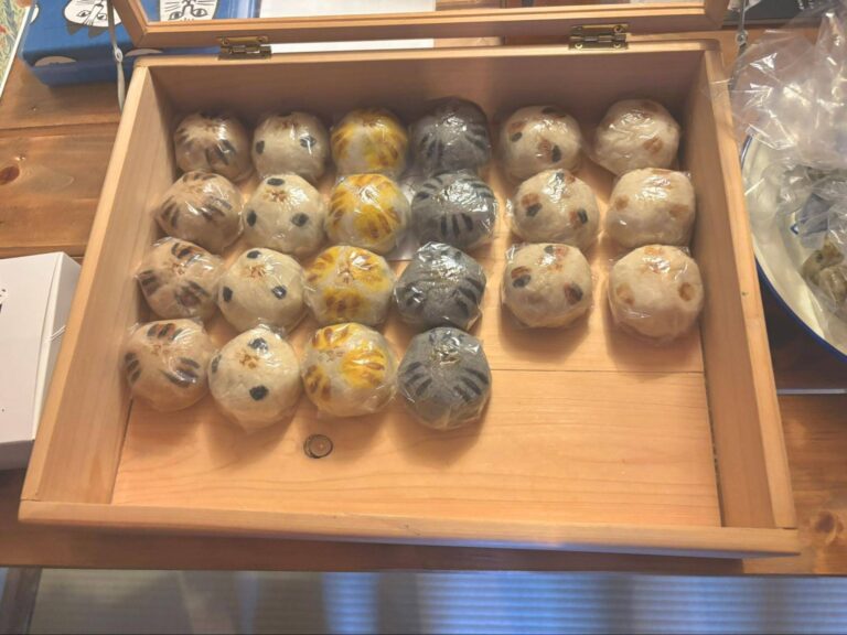 養生菓子処もちねこ