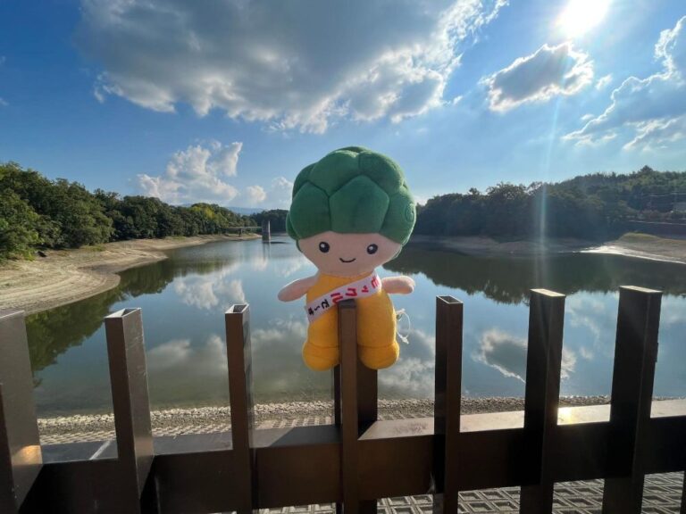 【河内長野市】今日はモックルの誕生日♪今日で何歳？ブロッコリー頭の真実は？いろんな疑問に迫ってみた(2022年10月3日　アーカイブ記事）