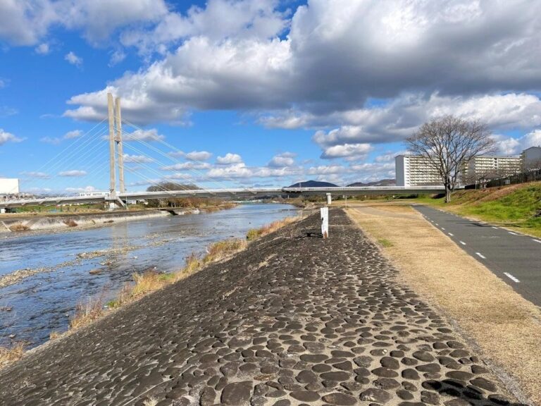 【太子町・富田林市・羽曳野市】「走って、食べて、南河内がもっと好きになる！」11月8日南河内フルーツマラニック開催（オリジナル）