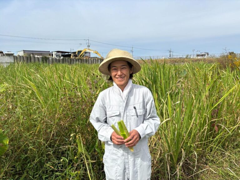 【南河内郡】スーパーフードのマコモを知ってますか？太子町の方が河南町と千早赤阪村境界線近くで栽培中