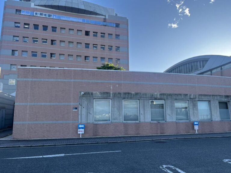 【河内長野市】15～34歳を対象とした若者ミライプロジェクト参加者を12日まで募集中（オリジナル）