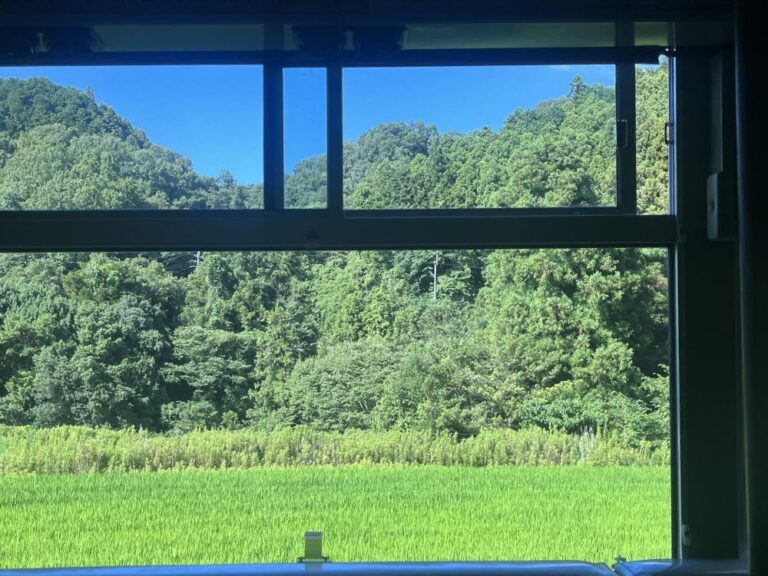 【南河内郡千早赤阪村】10月23日に千早赤阪村東阪の倉庫跡地でレスキュー市が行われます（オリジナル）