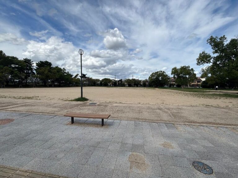 【大阪狭山市】小雨なら決行！第15回さやリンピックが狭山池東にあるさやか公園で実施されます（オリジナル）