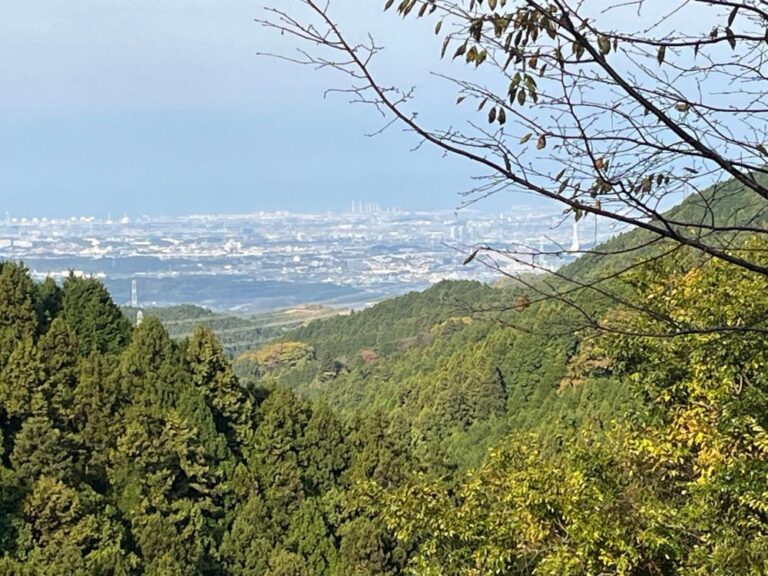 【南河内郡千早赤阪村】標高1000ｍ地点で美味しいマルシェ！初の金剛山山の秋まつり、ちはや園地で開催