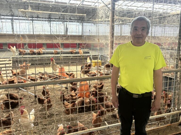 【南河内郡河南町】醤油無しTKGが衝撃的旨さ！健康鶏が産む絶品の高級卵は平飼い40年のタナカファーム