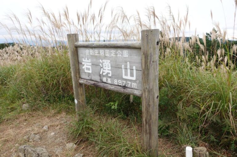 【河内長野市】秋といえばやはりススキ！幻想的な岩湧山登山、超初心者が滝畑ダムから挑戦しました。（2021年10月28日　アーカイブ記事）