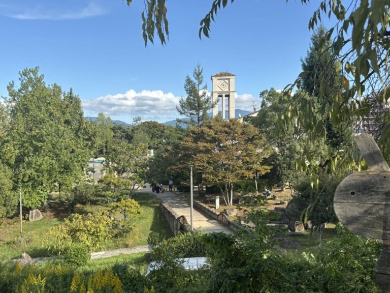 【河内長野市】ハロウィン全開の寺ヶ池公園、毎週楽しいイベントの裏で、市民と考えるワークショップ実施中