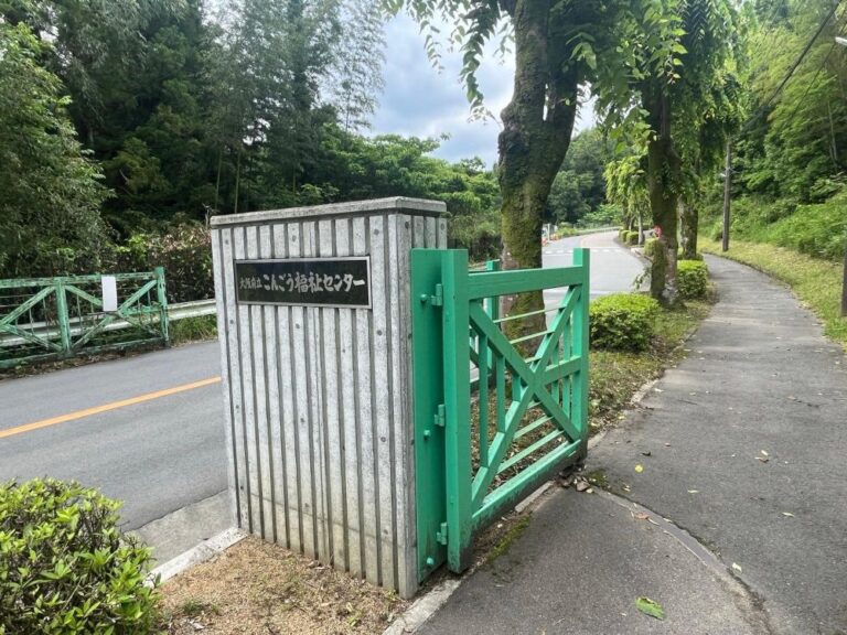 【富田林市】こんごう福祉センターでふたつのイベント！11月1日FUNふぁんFUN2025&11月9日東条フェスティバル（オリジナル）