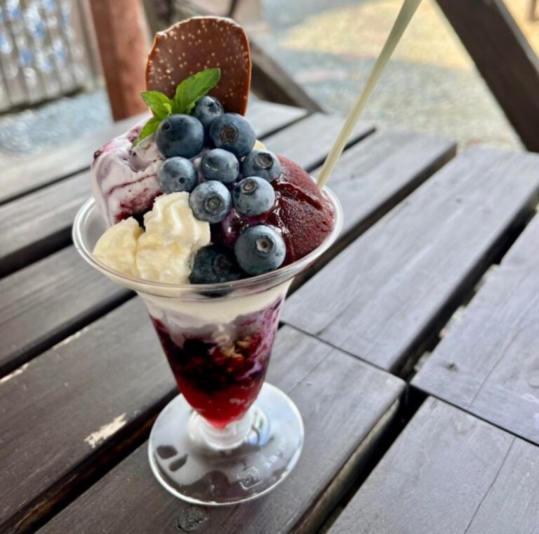 【富田林市】お腹いっぱいブルーベリーが食べられる！西板持のまーるいかんぱにーさんでブルーベリー三昧（2022年8月11日アーカイブ記事）