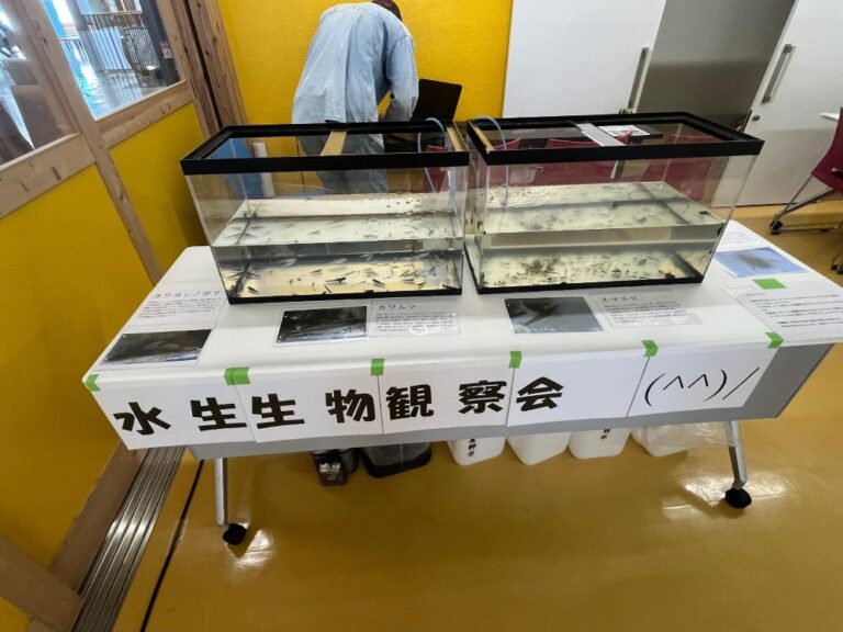 【河内長野市】イズミヤゆいテラスで11月2日も自然保護展を開催しています。（オリジナル）