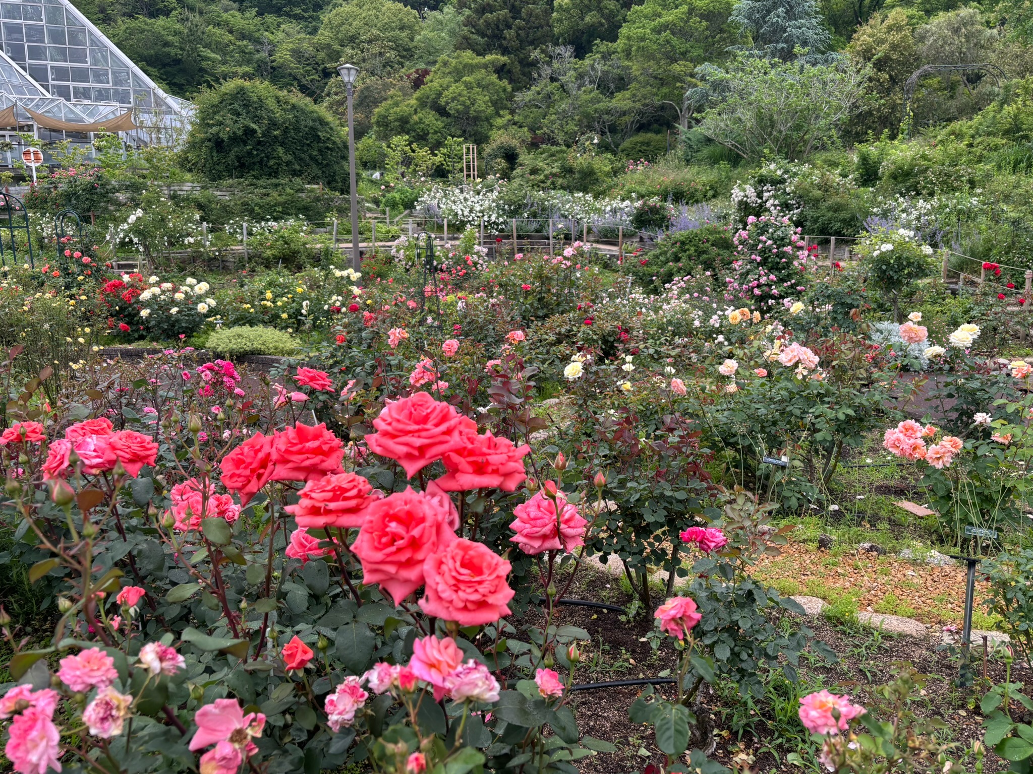 花の文化園